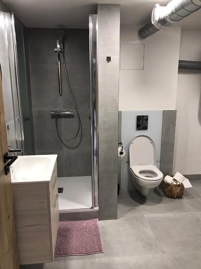 Soukromý pokoj s kuchyní a koupelnou v řadovce Nove Mesto na Morave Exterior foto